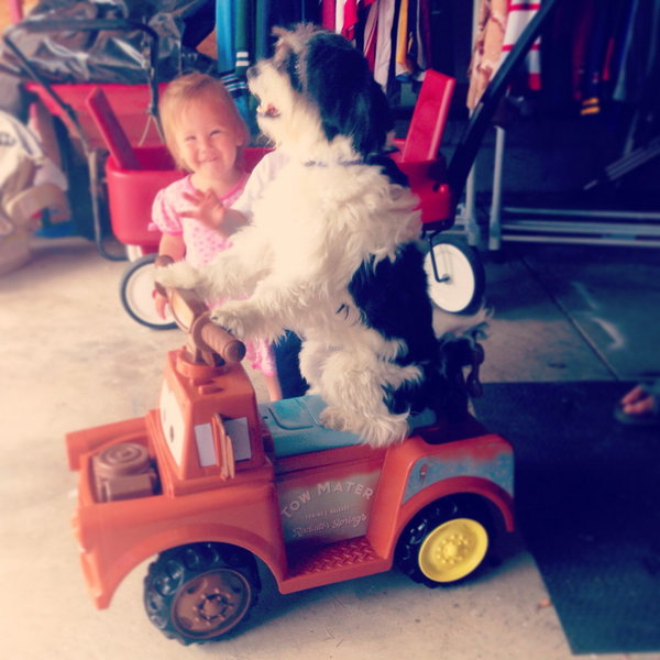 When your instructor is a little girl - Dog, Toy car, Children