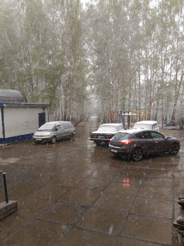 Good morning, Tomsk! - My, Spring, Snow, Tomsk, Longpost