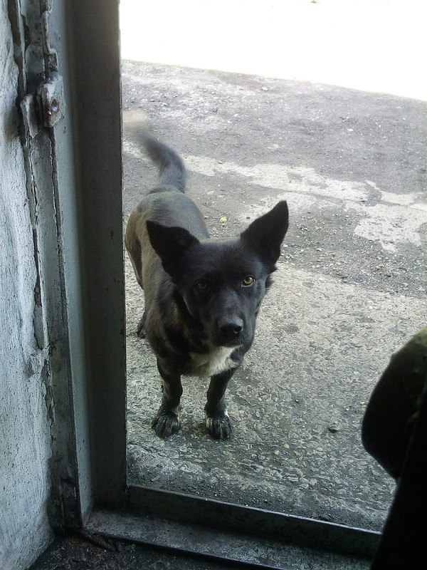 ������� ��� ����