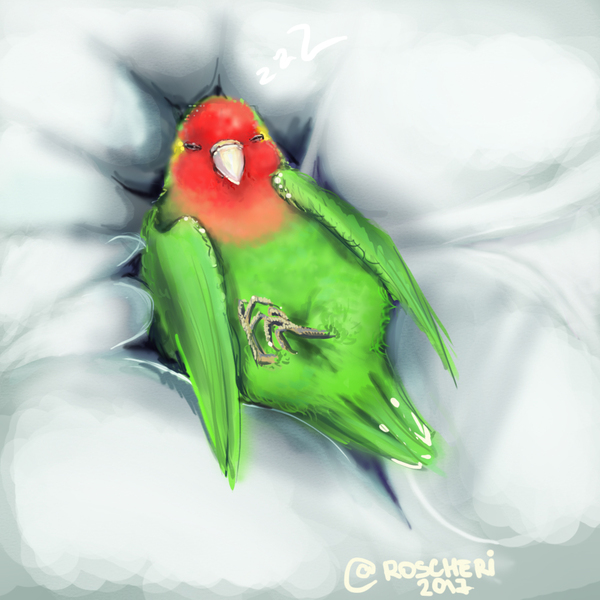 Quick drawing for the night (Call watermelon) - My, Digital drawing, Lovebirds, Greasiness, Fluffy, Green, Dream