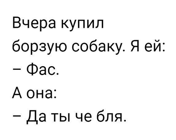 Любишь пёсиков? - Борзая, Собачники