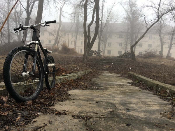 friend, comrade, brother - My, A bike, Fog, , The photo