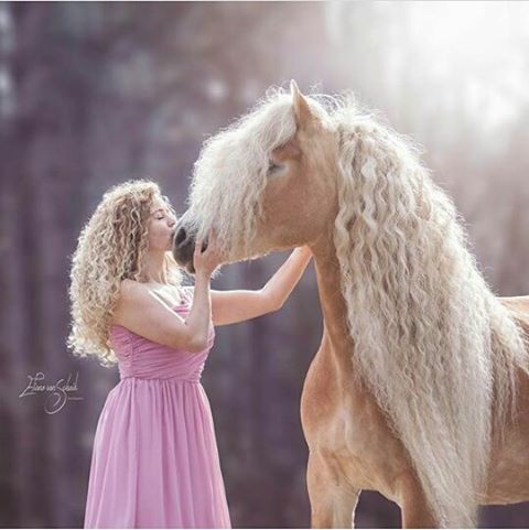 curls - Horses, Girls