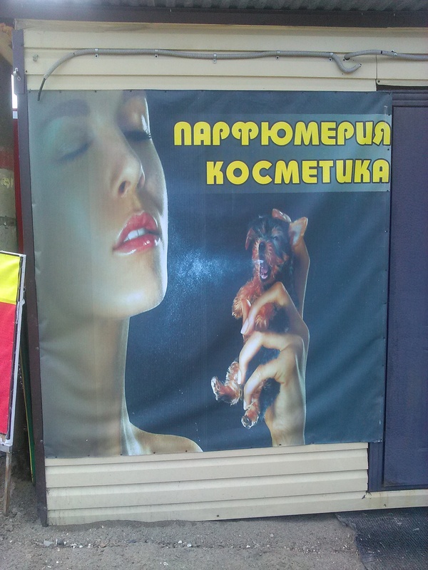 What is happening there? - Advertising, Perfume, Dog