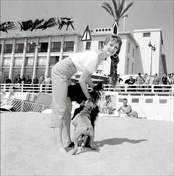 French actress Brigitte Bardot, 1950. - The photo, Brigitte Bardot, Cannes festival