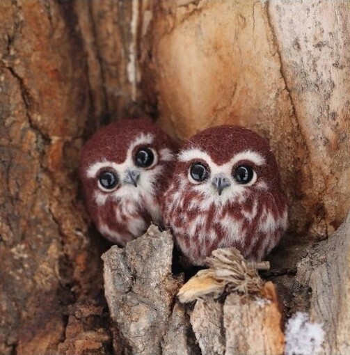 Felt owls - Felt, Owl, Wool toy, Beautiful
