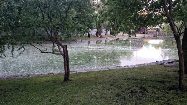 Прекрасный пруд в Краснодарском городском саду - Моё, Краснодар, Парк, Пруд