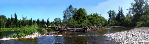 Kuzbass officials are selling 142 thousand hectares of taiga next to the state reserve for 6,400 rubles - My, Kemerovo region - Kuzbass, Tuleyev, Vts, , Ecology, Taiga, Longpost, Politics