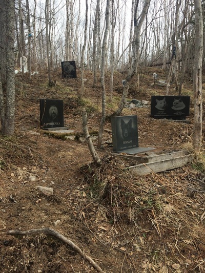 small cemetery - Pet cemetery, My, Cemetery, Pets, Animals