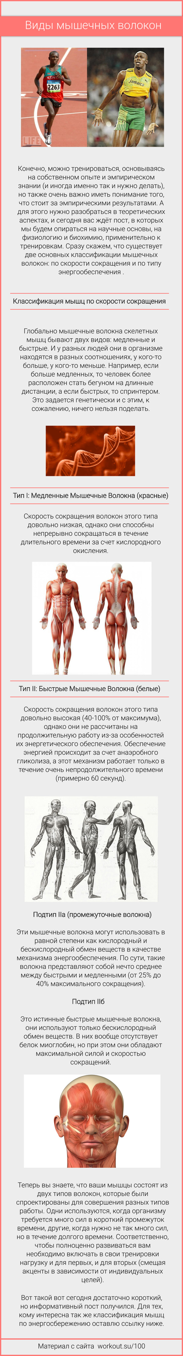 Muscles are different - My, Sport, Health, Muscle, Workout, Workout, Longpost