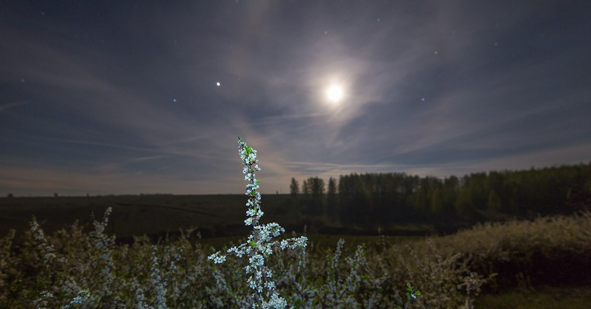 Рязанская природа звезды. Рязанская природа ночь. Фото природы Рязанской области месяц май. Погода на 10 дней рязань рязанская область