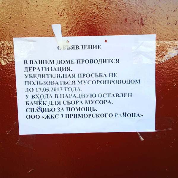 Russian language, forgive us, we have lost you! - My, Grammar Nazi, Illiteracy, Russian language, The photo, Horror, Shame, Hopelessness, Longpost