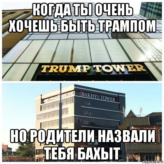 Life is pain - Tower, Donald Trump