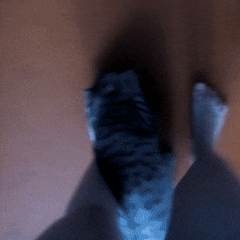 Следуй за мной
