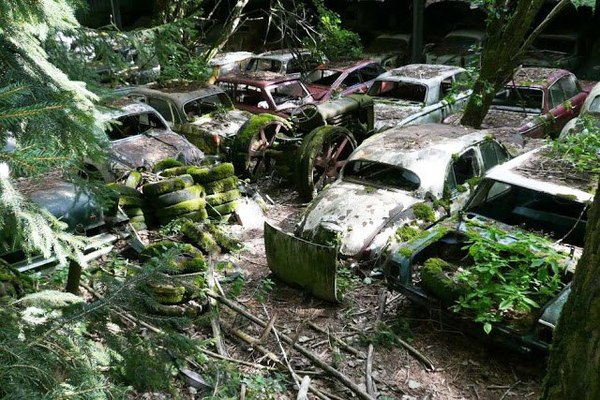 Свалка автомобилей в Кауфдорф (Швейцария, Берн). - Кладбище автомобилей, Швейцария, Берн, Длиннопост, Заброшенное, Мир без людей