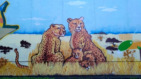 Graffiti (as well as street art) should decorate the walls, not disfigure them. #9 - My, Cheetah, , Moscow, Graffiti, Street art, Street painting