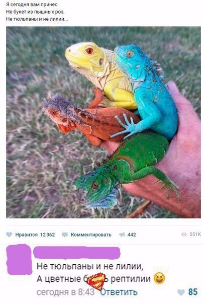��������� �� �������