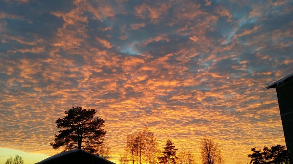 ����������� �������