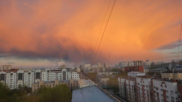 ����� �������