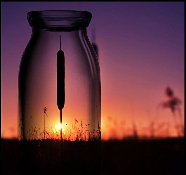 ����� �������