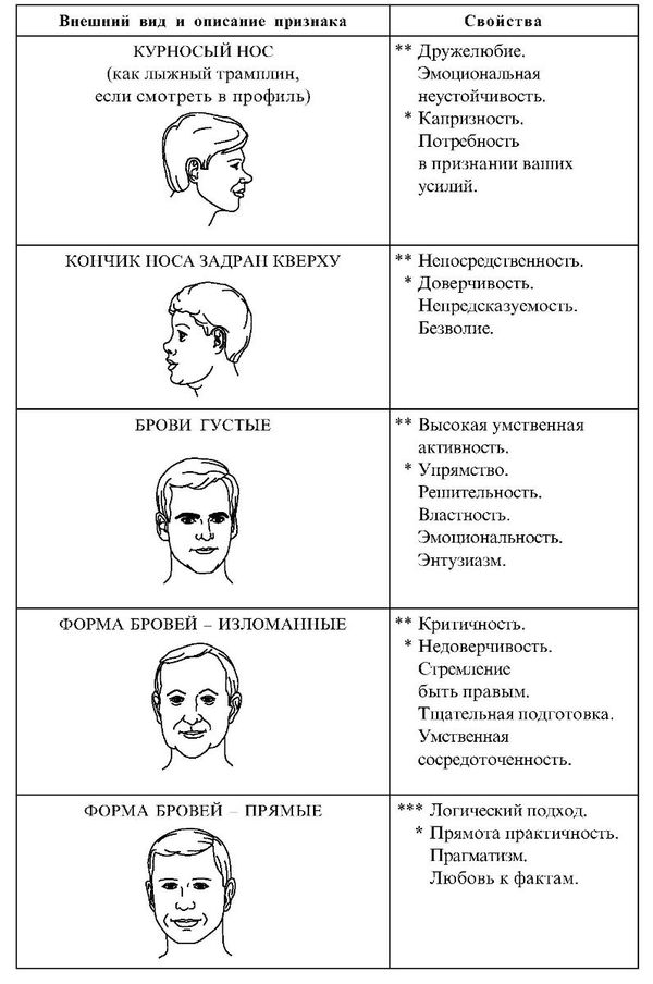 Физиогномика лица и характер схемы и описание изучение бесплатно