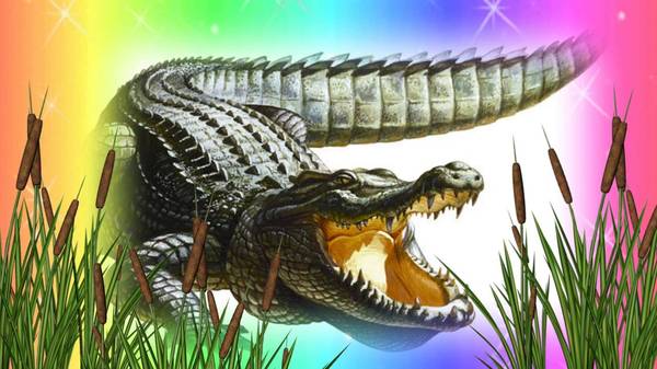 Nice drawing)) - Alligator, Nature, Drawing