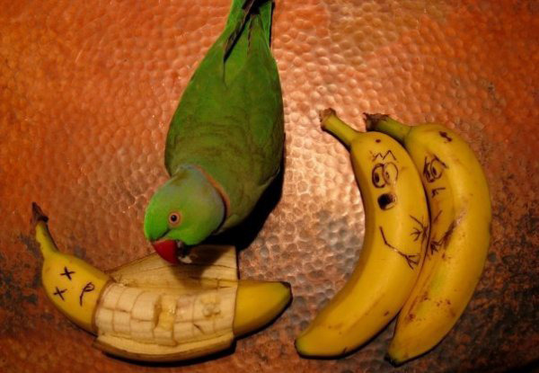 Сплит - краткое содержание