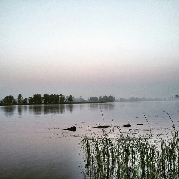 ������� �� ����, ��� ������