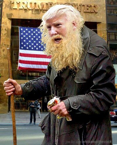 &quot;   &quot;  &quot;Trump vs Tramp&quot;