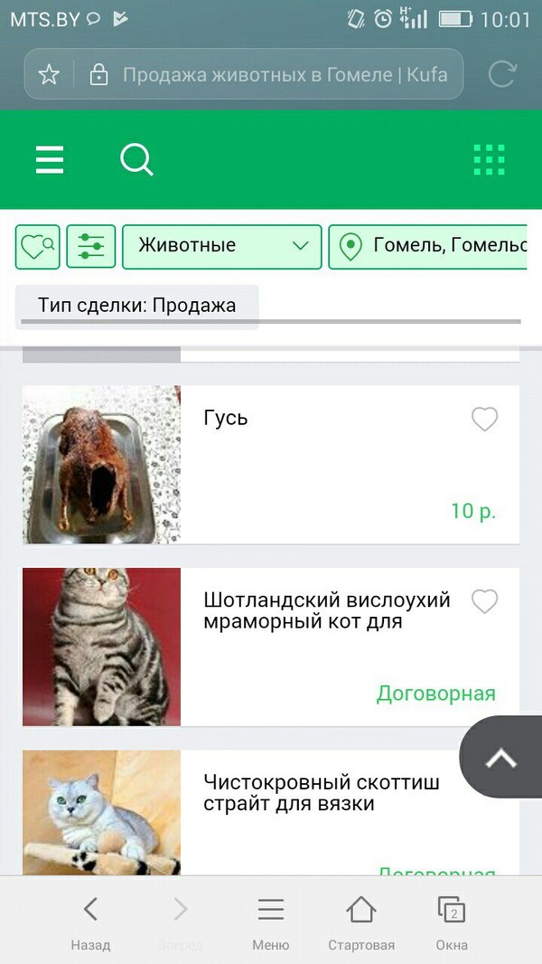 Looking for a parrot... - My, Screenshot, Animals, Pets, What a twist, Гусь