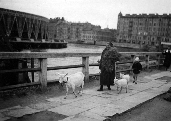 Peter 20-30 years - Retro, 20th century, Story, Saint Petersburg, Leningrad, The photo, A selection, Longpost