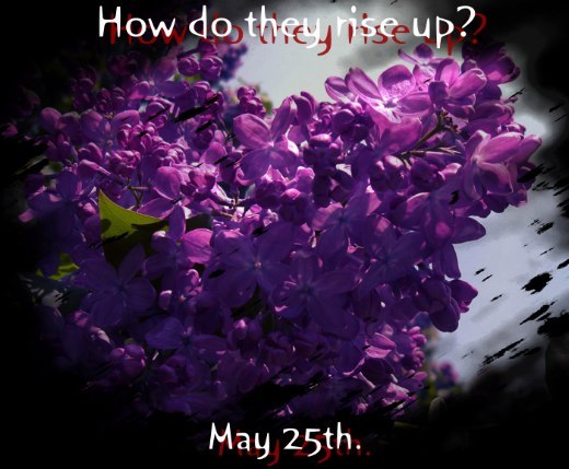 Terry Pratchett fans, today is May 25th, don't forget to wear a lilac sprig. - Terry Pratchett, Night Watch, 