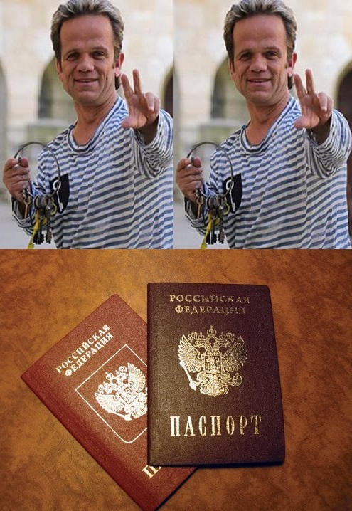 Simple or difficult? - My, The passport, Memes, Images, Humor, Проверка