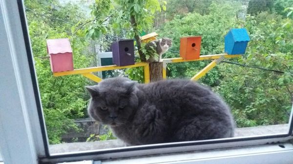 ����� ���, ��������� ������ ����