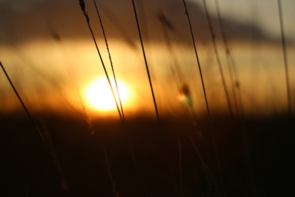 to the battle of sunsets - My, Helios44-2, Helios44-2, Canon 600D, Sunset, Battle of sunsets