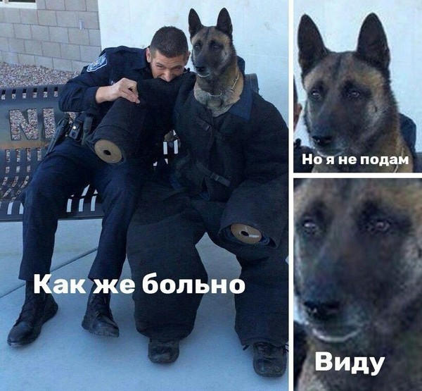 � ������������ ���������