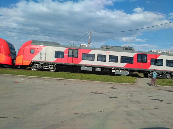 Swallow in EKB - Russian Railways, Martin, Train