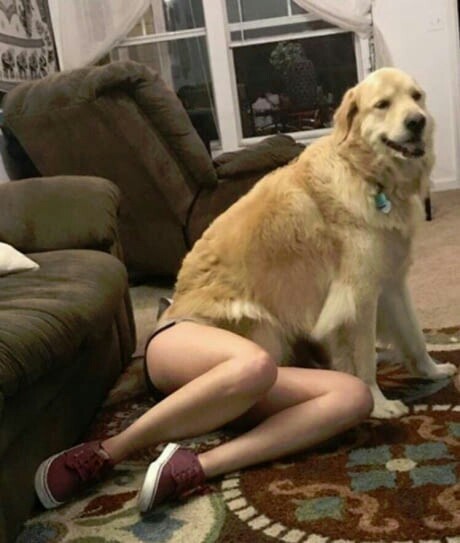 Если бы русалочка влюбилась в кинолога...