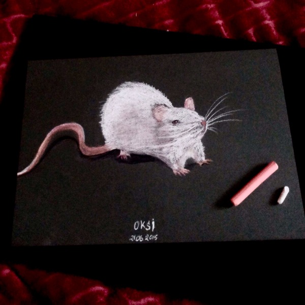 Rat - My, Rat, Drawing, Art, Images, Pastel, Dry pastel, Pastel pencils, Creation