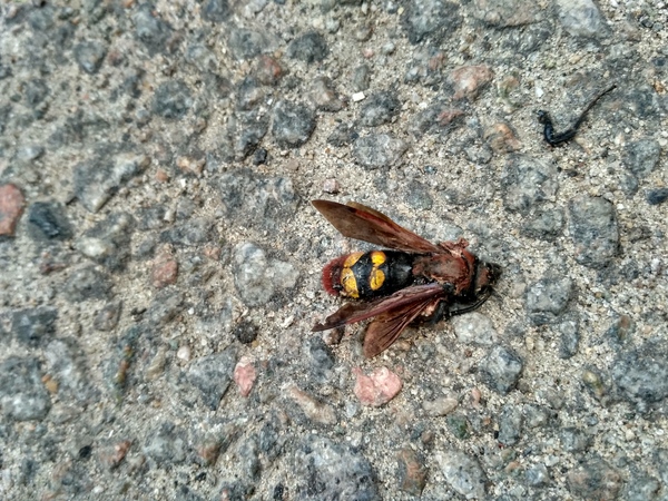   ? , , 