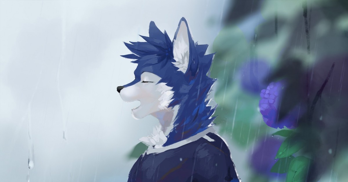 Дождь, Leno-wolf, Фурри.