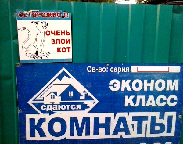 Осторожно!!! Очень злой кот