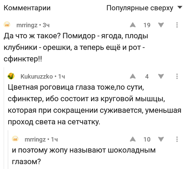 ������� ���� ������