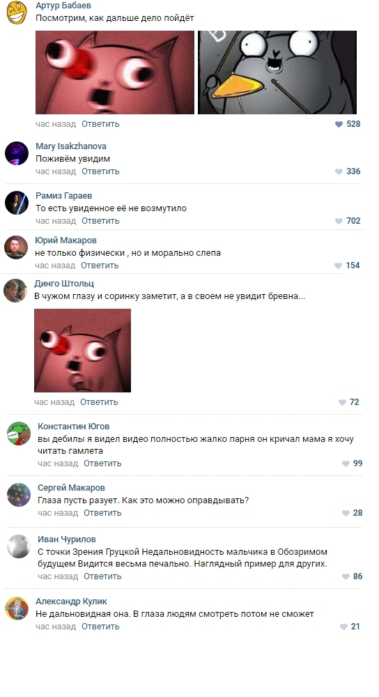 News comments - , Longpost, Vision, Comments, Diana Gurtskaya