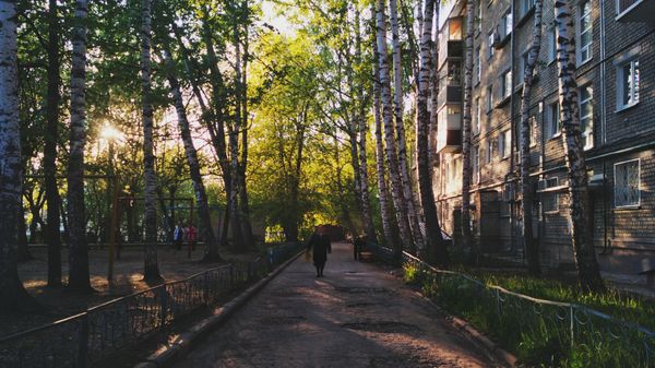 Вечер во дворе - Моё, Фотография, Вечер, Весна, Дерево, Двор, Казань