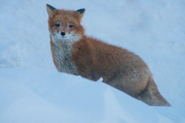 ����� ����� �� ����� ����� � ���