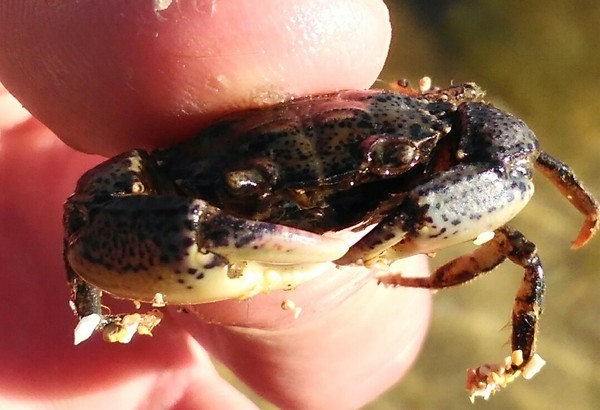 Лето наступает