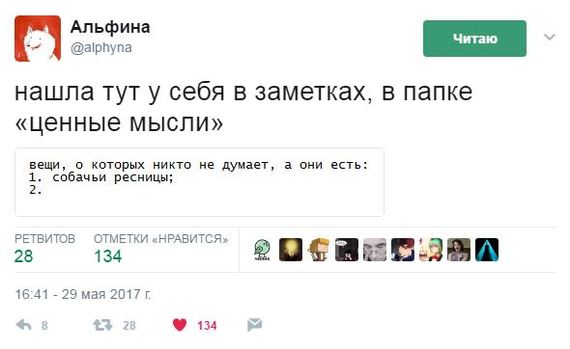 Вещи, о которых никто не думает - Ресницы, Собака, Twitter, Альфина, Мудрые мысли, Мудрость