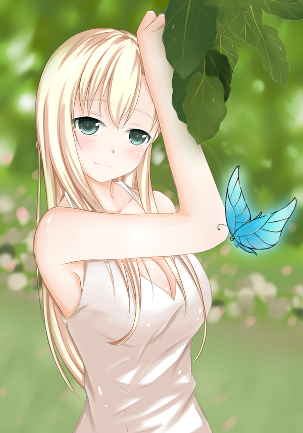 Sena   .
