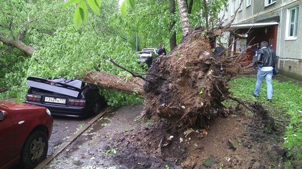 Lowered pelvis, pleasing to the eye - Hurricane, Moscow, Tree, AvtoVAZ, Bpan, Understated car, 2017